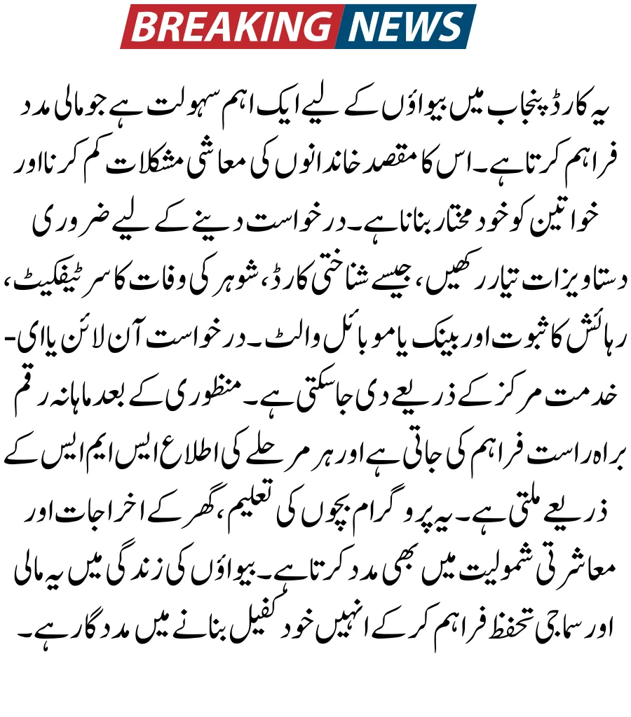 CM Punjab Bewa Sahara Card Scheme 2026